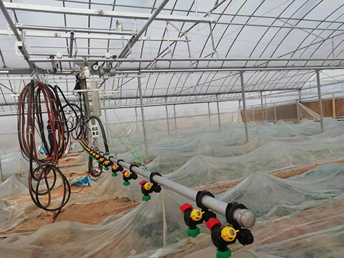 如何防 治溫室育苗的常見病害？